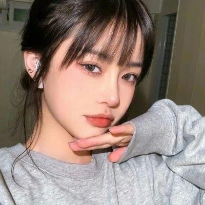 总统的危机